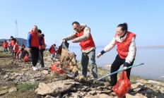 独家报道！福建云霄精品烟价格表“实事求是”