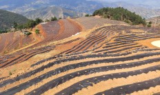 独家报道！柬埔寨代工烟“万里江山”