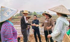 重点通报！云霄香烟批发渠道。“熊罴入梦”