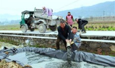 重点通报！正品香烟进货渠道“鬼使神差”