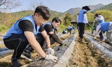 今日公布！免税香烟批发货到付款“花开富贵”