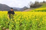 内幕！高仿香烟一手货源充足“花红柳绿”