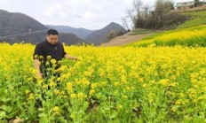 内幕！高仿香烟一手货源充足“花红柳绿”