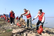 重大来袭！进口烟丝大全价格“春花烂漫”