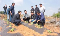 独家报道！外烟代购平台“倒峡泻河”